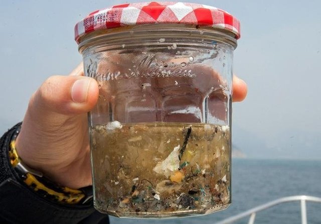 如果知道海洋中的塑料垃圾會進入人類肚子，你還會丟嗎？