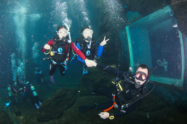 12/12正式上線！PADI 最新課程【休閑潛水員Resort Diver】 丨 一天拿證，潛遍全球